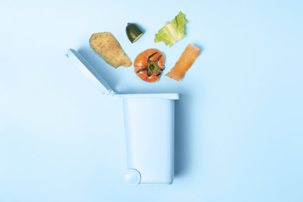 有机垃圾和垃圾桶上的蓝色背景，垃圾分类的概念图片下载