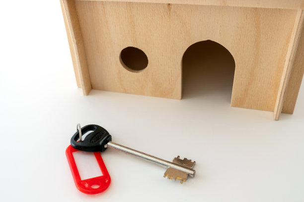 旁边是一个木制的玩偶玩具屋，是一把挂着红色标签的钥匙图片下载