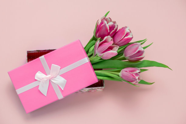 粉红色郁金香在一个盒子与粉红色缎带蝴蝶结在一个柔和的粉红色背景图片下载
