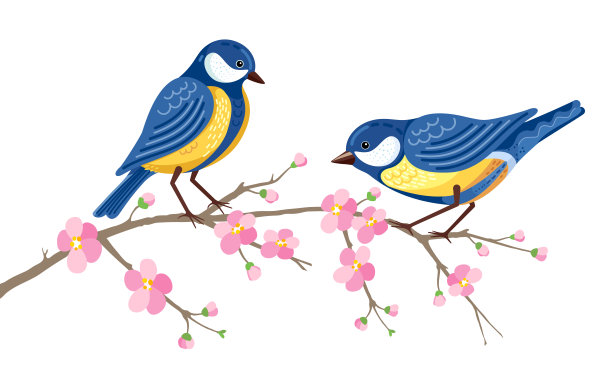 两只蓝色的山雀坐在开着粉红色花朵的樱花枝上。图片下载