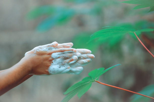 女孩涂了肥皂的手的特写图片下载