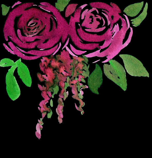 彩色插图的两花水彩画在黑色的背景图片下载