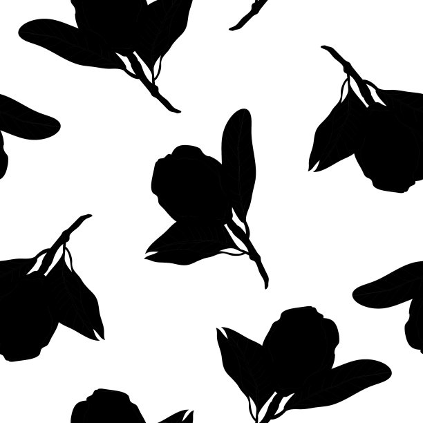 黑白花无缝图案。时尚的黑白矢量纹理。时尚，凌乱的印花，织物，壁纸，设计。手绘剪影花和叶子散落在白色的背景上图片下载