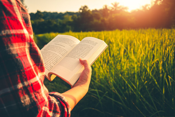 女人在宁静的草原上读绿书，概念读一本书。图片下载