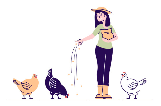 养殖户饲养的鸡呈扁平病特征。家禽后院农场卡通概念与大纲。用谷物喂鸡的农村妇女。家禽养殖、养鸡场、有机禽鸟农业图片下载