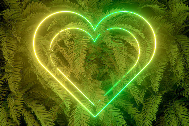 3d空框架与霓虹灯和棕榈树的背景，夏季概念图片下载