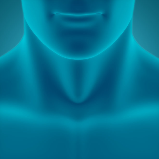 人体男性解剖学图片下载