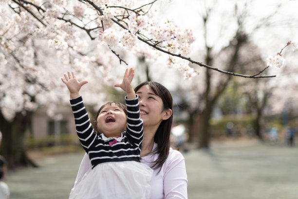 母亲给女儿看樱花图片下载