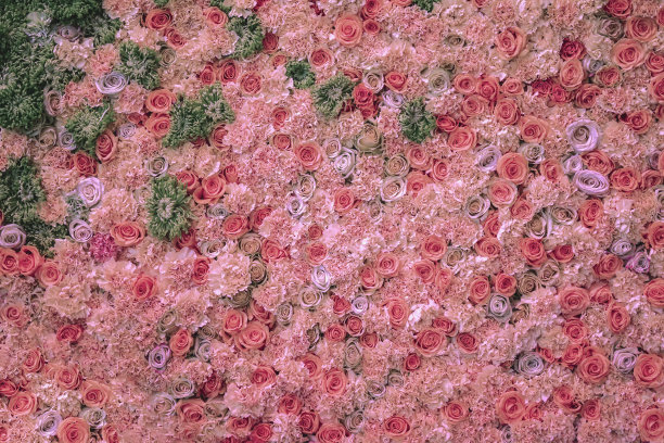 花粉红玫瑰纹理。自然的装饰。婚礼装饰，手工浪漫墙图片下载