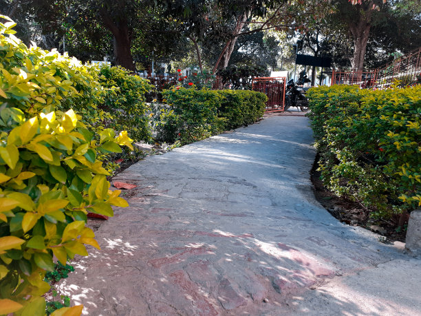 公园里的人行道图片下载