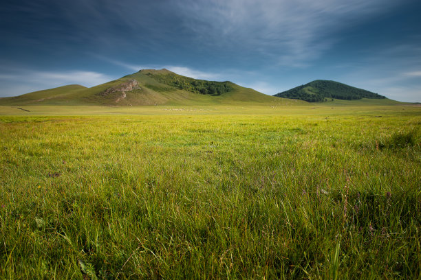 春天，远处是绿油油的草原和山林图片下载