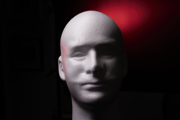 人体模型 2图片下载