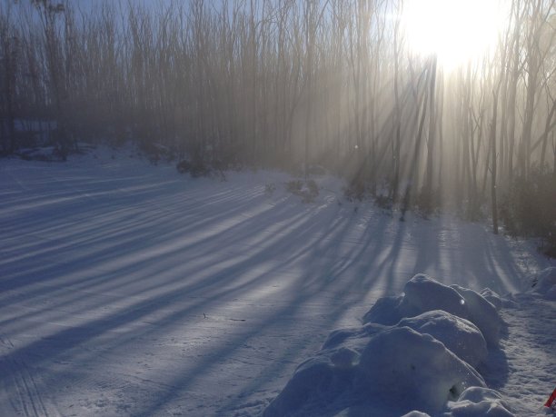 阿尔卑斯山的清晨图片下载