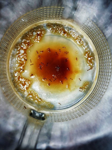 蚂蚁家庭正在喝茶图片下载