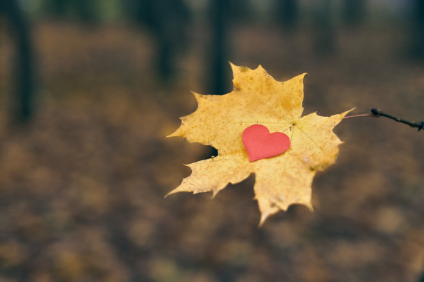 敞开纯洁心灵的象征，复制空间图片下载