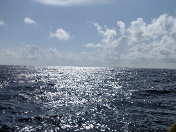 开放的水域图片下载