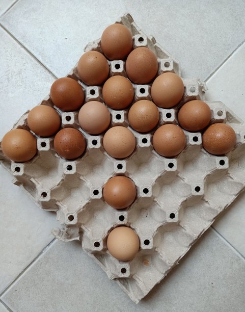 蛋板上放着半个托盘图片下载