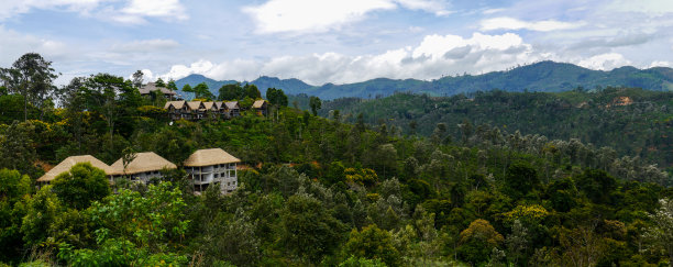 在通往艾拉的小亚当峰的路上，有一个茶园的山谷全景图片下载
