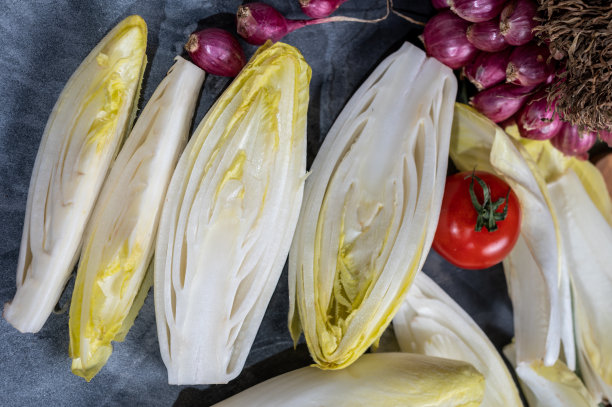 新鲜的比利时菊苣或菊苣苦味色拉，随时可以烹饪或食用图片下载