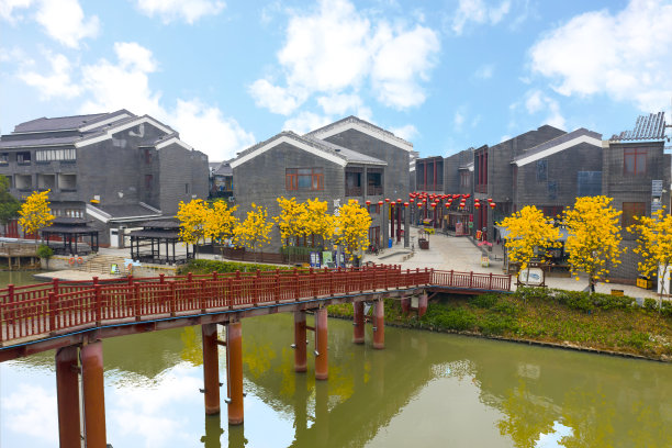 中国东莞华阳湖湿地公园水乡航拍照片图片下载