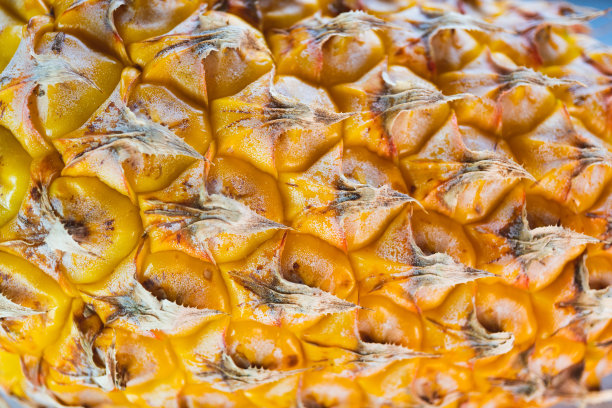 特写黄菠萝的果皮质地图片下载