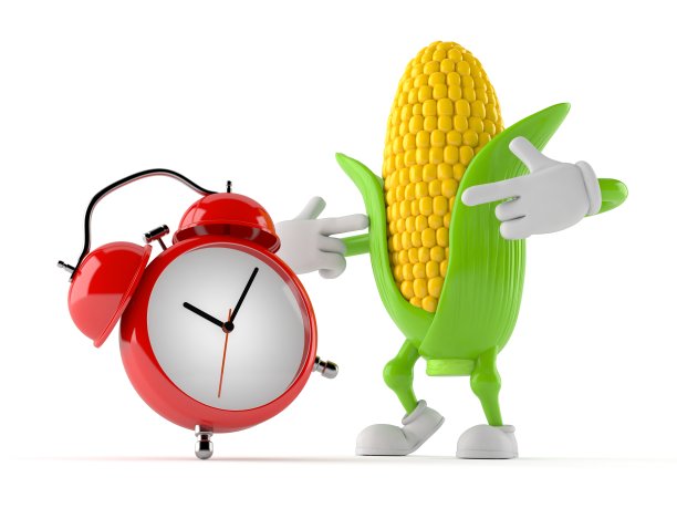 玉米性格与闹钟图片下载