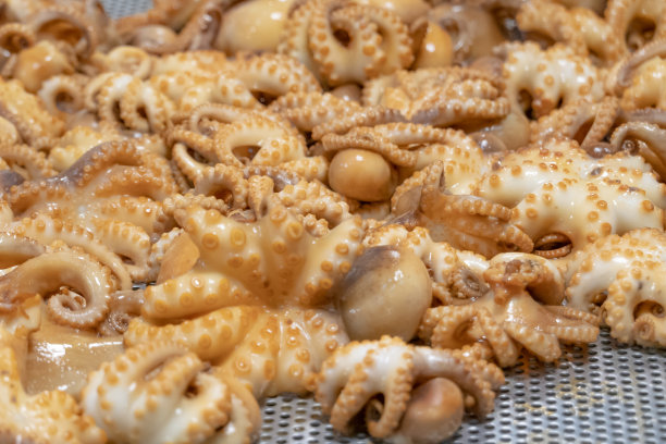 豉油烤鱿鱼，韩国料理图片下载