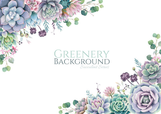 绿色植物，肉质和分枝框架边界上的白色背景。漂亮的模板邀请或贺卡，横幅。所有元素都是独立的和可编辑的。图片下载