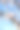 美丽的杏花枝。特写镜头图片下载