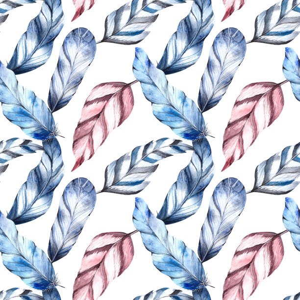 水彩的羽毛图片下载