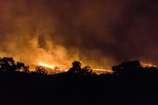 澳大利亚北部地区的一场森林大火图片下载