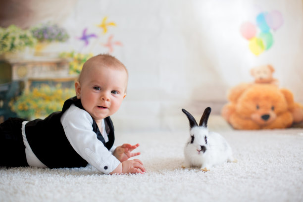 穿着休闲的可爱小男孩与黑白兔子玩耍图片下载