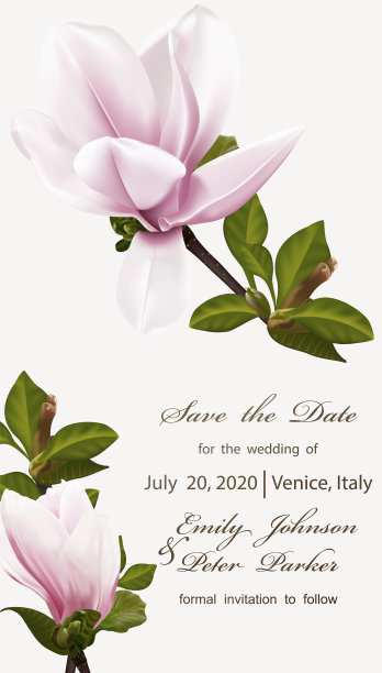 婚礼请柬与小枝盛开的玉兰花。木兰花，孤立在白色上。图片下载
