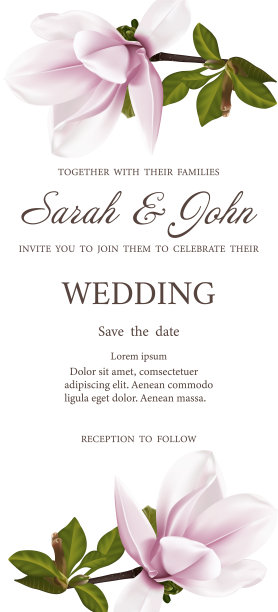 婚礼请柬与小枝盛开的玉兰花。木兰花，孤立在白色上。图片下载