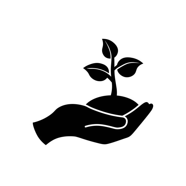手持树苗叶子或手掌托树苗，黑色生态图标，白色隔离背景。EPS 10矢量图图片下载