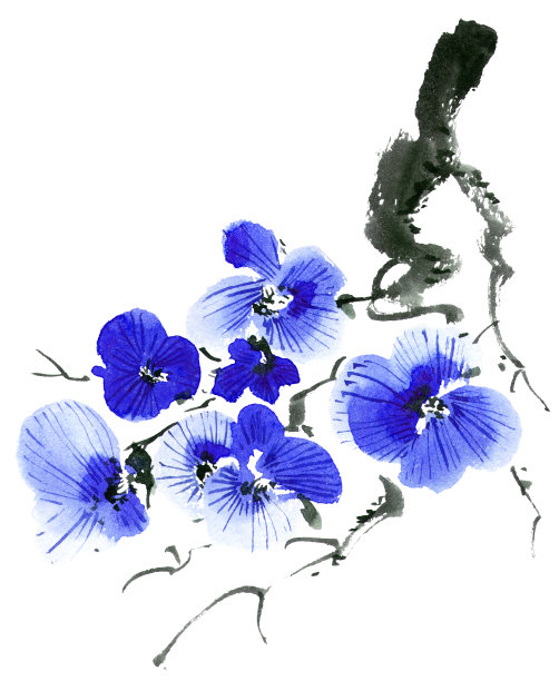 鲜花盛开的树图片下载