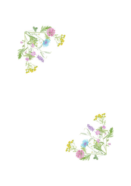 水彩花卉夏季框架与复制空间和野生草地花孤立在白色的背景。模板夏季设计。图片下载