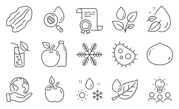 一套自然图标，如山核桃，苹果，生态食品。向量图片下载