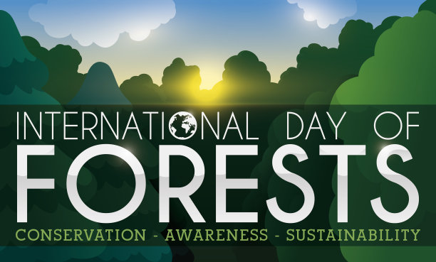 国际森林日美丽的黎明景色图片下载