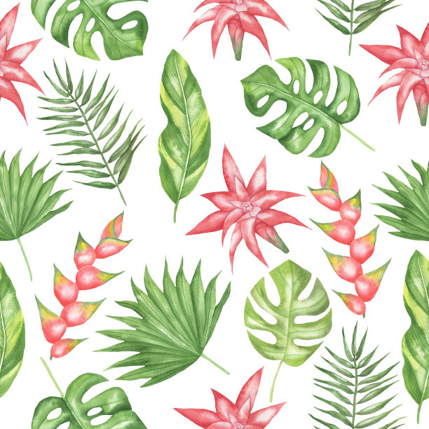 热带花和叶的图案。jpg图片下载