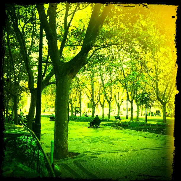 街头的照片图片下载