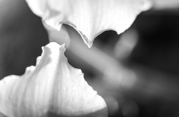 背景图照片素材ID：353467968