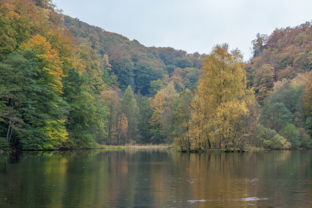 海岸和倒影从秋天的彩色森林的水，图片来自瑞典北部。图片下载