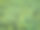绿叶植物自然背景景观图片下载