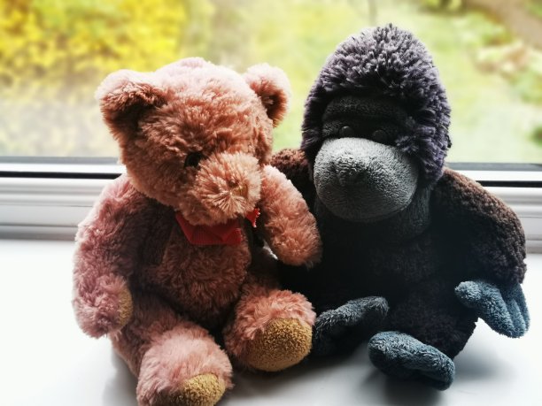 爱和团聚没有人和分享喜悦和爱。我们希望你早点回家。图片下载