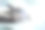 抽象创意指纹全息图的双重曝光与手写笔记在背景上，个人信息保护的概念图片下载