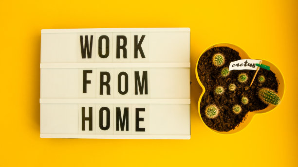带文字的灯箱WORK FROM HOME带笔记本笔和仙人掌和TO DO清单，复制空间在黄色背景，隔离和隔离家庭办公室图片下载