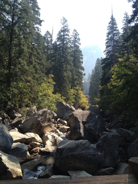 优胜美地的树木和岩石图片下载