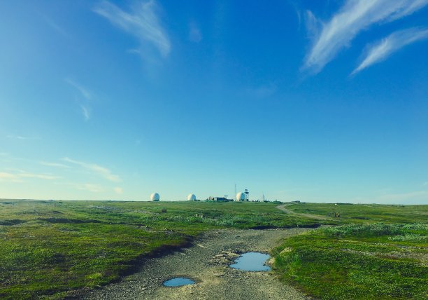 苔原景观图片下载
