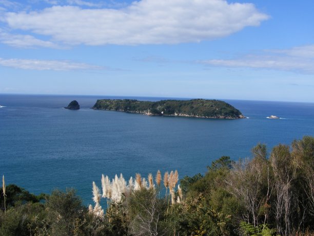 新西兰西海岸外的一个小岛图片下载